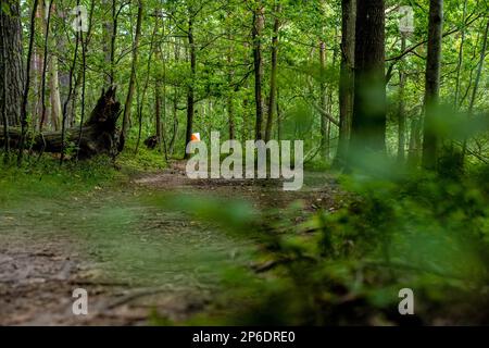 Orienteering checkpoint in the middle of a forest Stock Photo