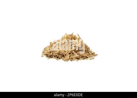 siberian ginseng in latin Eleutherococcus senticosus  heap isolated on white background. Medicinal herb. has a history of use in folklore and traditio Stock Photo