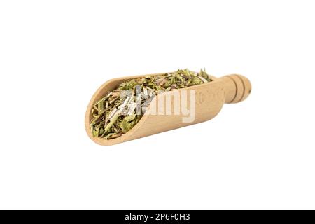 Catnip herb in latin - Nepeta cataria in wooden scoop isolated on white background. Medicinal herb. Stock Photo