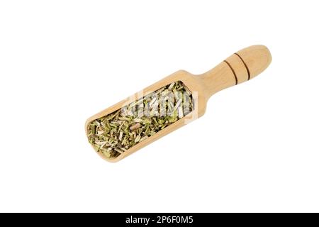 Catnip herb in latin - Nepeta cataria in wooden scoop isolated on white background. Medicinal herb. Stock Photo