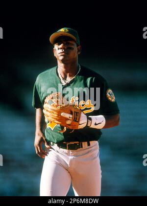 MIGUEL TEJADA  Oakland Athletics 2002 Away Majestic Throwback