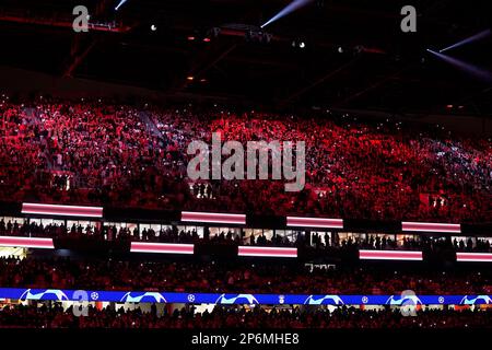 Club Brugge Fans Cheer Prior Uefa Editorial Stock Photo - Stock