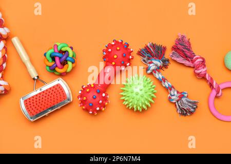 Set of different pet toys and grooming brush on color background Stock Photo