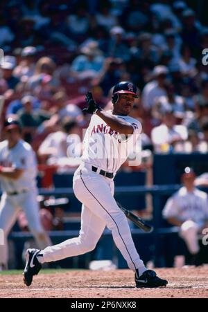 Garret Anderson  Four Seam Images