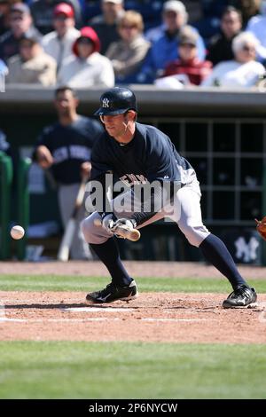 March 4, 2010: Outfielder Brett Gardner of the New York Yankees during a  Spring Training game at Bright House Field in Clearwater, FL. (Mike  Janes/Four Seam Images via AP Images Stock Photo 