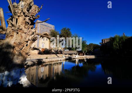 The Nodir Devonbegi Madrasah and the Divan-Beghi pond in the heart of the old city of Bukhara, Uzbekistan. Stock Photo