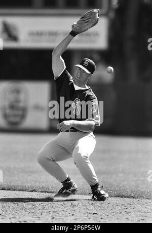 Travis Lee  Four Seam Images