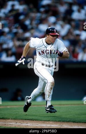 Brady Anderson of the Baltimore Orioles at Anaheim Stadium in  Anaheim,California during the 1996 season. (Larry Goren/Four Seam Images  via AP Images Stock Photo - Alamy