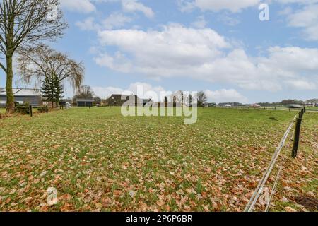 a field with leaves on the ground and a house in the distance, taken from behind by a metal fence Stock Photo