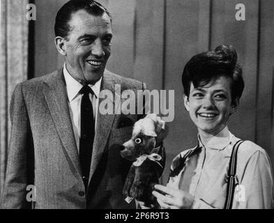 1965 , New York ,  U.S.A. : The celebrated italian singer  RITA PAVONE ( born in Torino 23 august 1945  ) with ED SULLIVAN at television ED SULLIVAN SHOW   - POP MUSIC - MUSICA LEGGERA - portrait - ritratto - smile - sorriso - bretelle - musicista - musician - cantautore - cantante - singer  ------  ARCHIVIO GBB Stock Photo