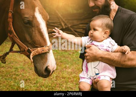 Close up of baby girl with dad touching a mare. Father's Day Concept. Sunset light Stock Photo