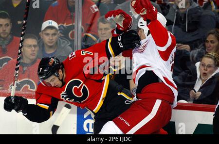 Detroit Red Wings Mike Commodore right checks Calgary Flames