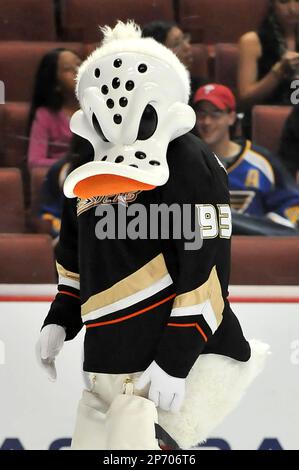 Anaheim Ducks mascot, Wild Wing, does a few victory laps on the ice after  the Ducks beat the Detroit Red Wings during game six of the NHL Western  Conference Finals in Anaheim