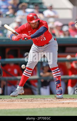 Lakeland FL USA; St. Louis Cardinals left fielder Juan Yepez (13) avoids being hit by a pitch during an MLB spring training game against the Detroit T Stock Photo