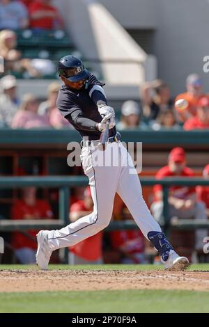 Lakeland FL USA; Detroit Tigers relief pitcher Will Vest (19) delivers ...