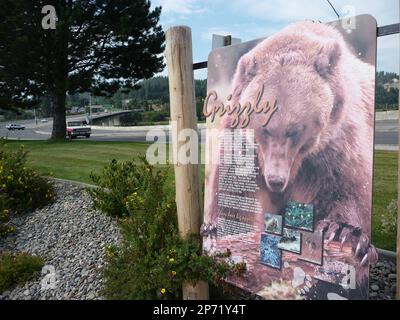 The Kootenai River At Bonners Ferry Idaho Stock Photo - Alamy