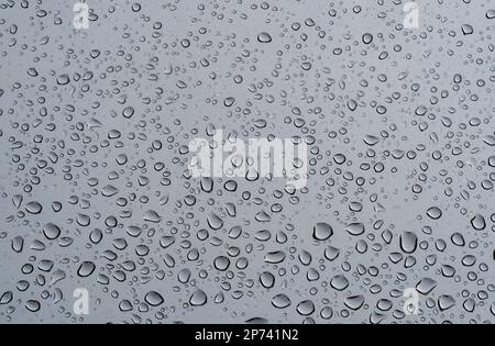 rain drops on a grey background. Stock Photo