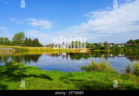 Nature at the Oberer Eschenbacher Teich near ClausthalZellerfeld