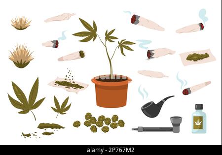 Weed cigarette. Cannabis rolled shoals, cartoon marijuana joint smoking herb drug, narcotic addiction or alternative medicine concept. Vector set Stock Vector