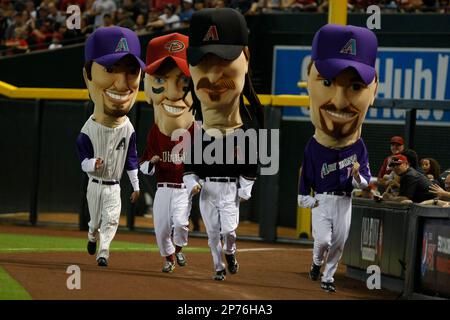 Randy Johnson Arizona Diamondbacks Legends of the Park Hall of