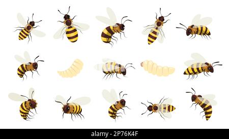 Honey bee bug. Winged buzz flying insect, striped bumblebee wasp with sting, beekeeping mead gathering honeycraft concept. Vector cartoon set Stock Vector