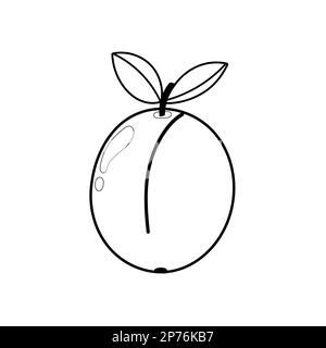 Apricot coloring page for adults and kids. Black and white print with fruit Stock Vector
