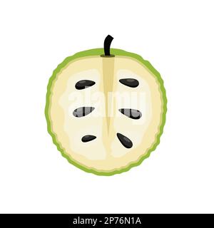 Custard apple fruit. Cherimoya isolated element. Sweetsop healthy food print Stock Vector