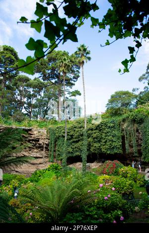 Umpherston Sinkhole - Mount Gambier - Australia Stock Photo