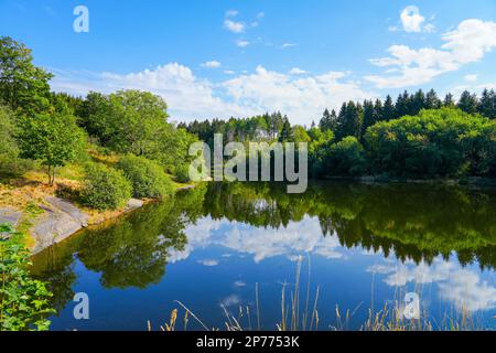 Landscape at the Unterer Eschenbacher Teich. Nature at the lake near