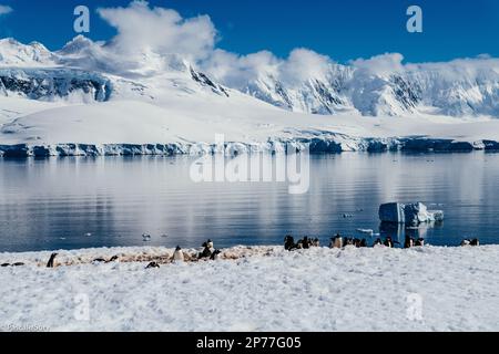 Falkland Islands, South Georgia and Antarctic Peninsula Stock Photo