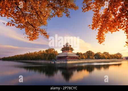 Autumn Scenery of the Palace Museum Corner Tower Stock Photo