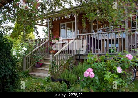 Raised wooden decking area with steps and outdoor seating, surrounded by climbing roses Stock Photo