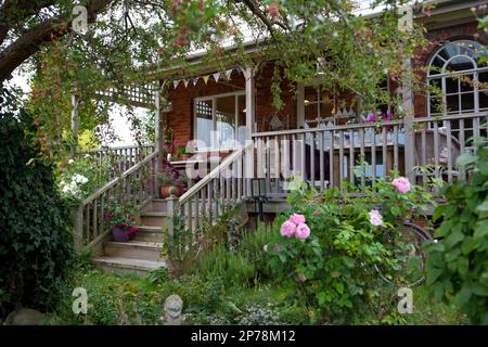 Raised wooden decking area with steps and outdoor seating, surrounded by climbing roses Stock Photo