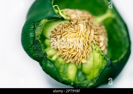 Withered green bell pepper isolated on white background. Inner walls and seeds details. Stock Photo