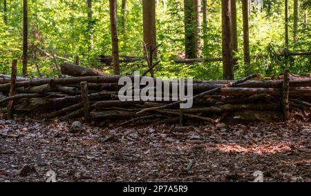 Tree branch woven small fence in the forest surrounding a pick nick place. Stock Photo