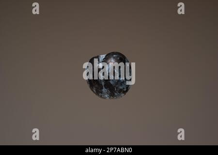 Single fresh ripe plum fruit. Close up studio shot, isolated on brown background. Stock Photo