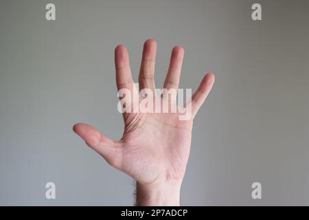 Caucasian male hand making generic gesture. Close up shot, opened palm, isolated on gray background. Stock Photo