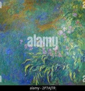irises, Claude Monet, 1914-1917, Art Institute of Chicago, Chicago, Illinois, USA, North America, Stock Photo