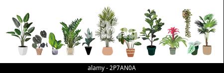 Indoor house plants vector set isolated on white. Stock Vector