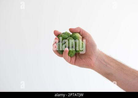 Group of fresh raw Brussels sprouts held in hand by Caucasian male hand. Close up studio shot, isolated on white. Stock Photo