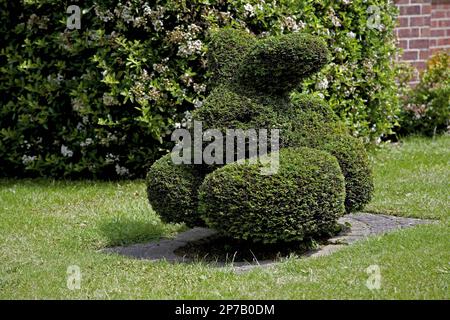 Fun topiary rabbit Stock Photo - Alamy