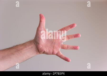 Caucasian male opened palm, extended fingers, isolated on gray background. Stock Photo