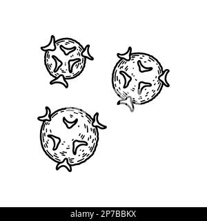 T-helper cells isolated on white background. Hand drawn scientific microbiology vector illustration in sketch style. Adaptive immune system Stock Vector