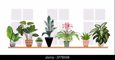 Interior houseplants in planters on the window. Stock Vector