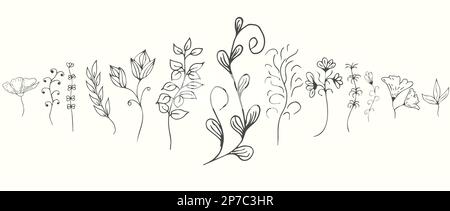 Floral branches for logo or decoration. Minimalistic wedding flowers, grass and leaves for invitation, save the date card. Hand drawing. Stock Vector