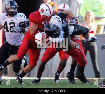 Sept. 16, 2010 - Raleigh, North Carolina, United States of America - NC  State quarterback Russell Wilson (#16) hands the ball off at Carter-Finley  Stadium in Raleigh, North Carolina (Credit Image: ©