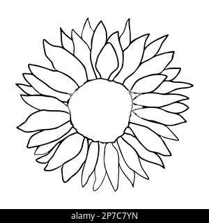 Cute sunflower wreath set for surface decoration. Hand drawn floral vector elements Stock Vector