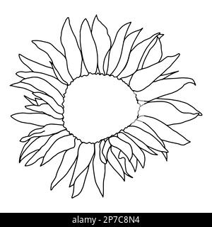Cute sunflower wreath set for surface decoration. Hand drawn floral vector elements Stock Vector