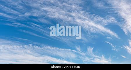 Light cirrus clouds in the blue sky panorama. Cirrus clouds variety on a sunny day. Wide shot of beautiful calm skyscape. Background for weather. Stock Photo