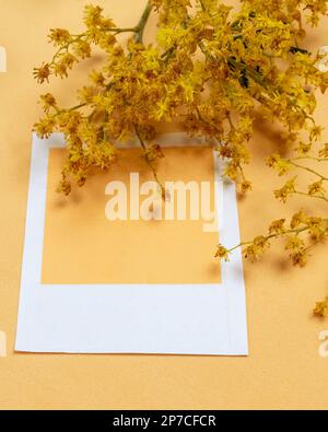 A branch of flowering mimosa is placed on a base of the same color with a white frame next to it Stock Photo